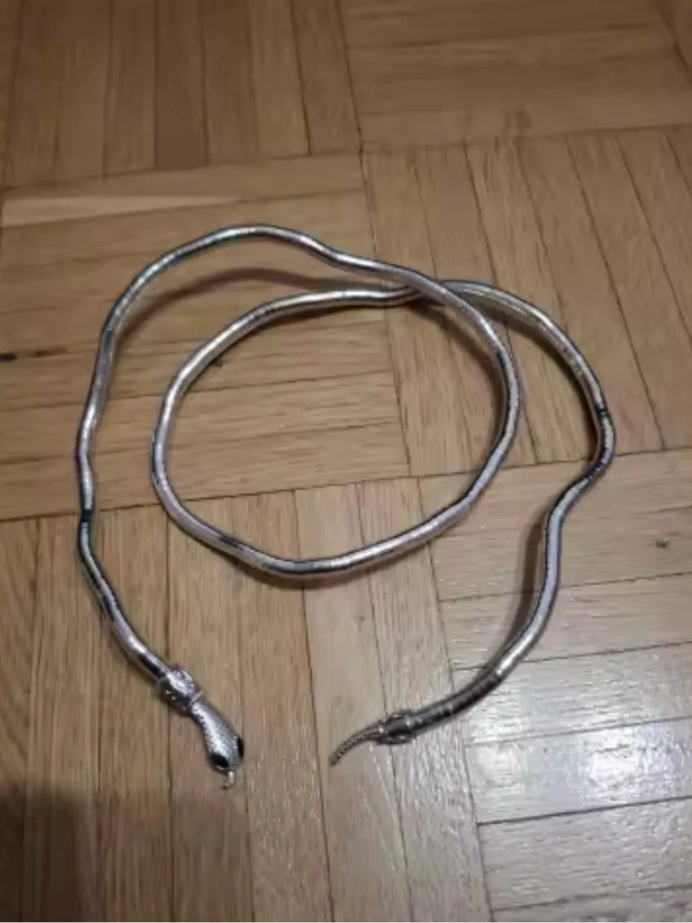 Silver Snake Coil Reptile Bracelet for Pets